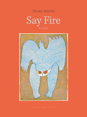 cover image of Say Fire